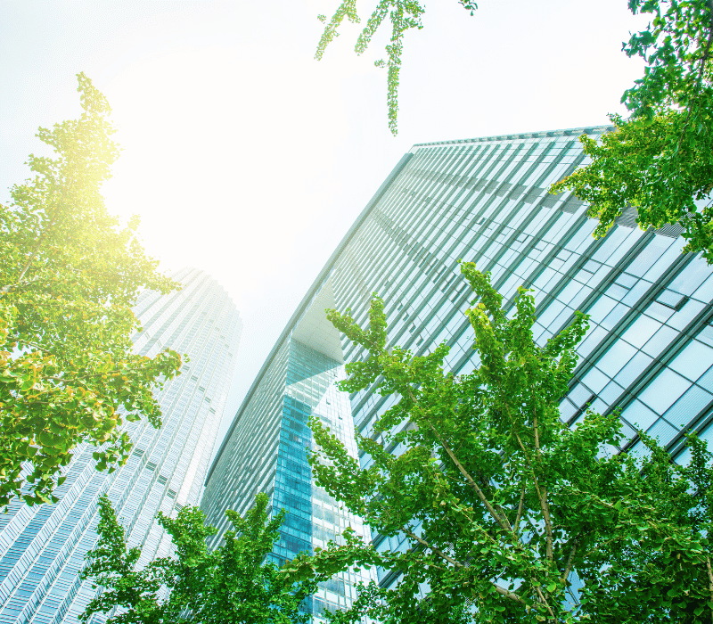 Reinigungsmittel für die Glas- und Fensterreinigung
